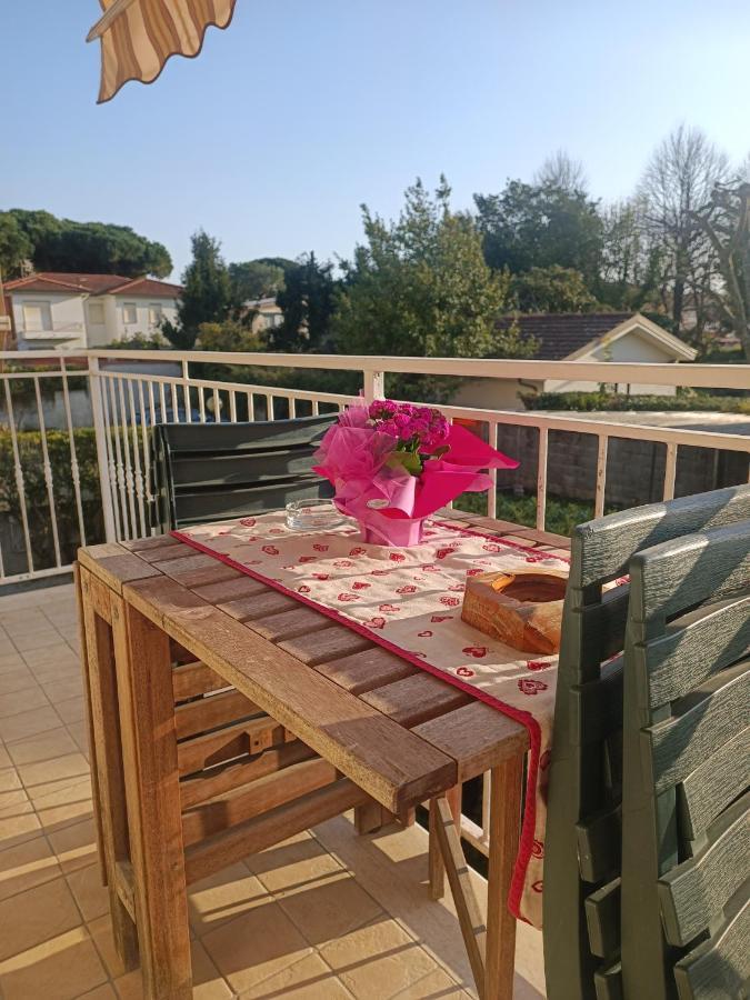 Le Palme 98 "Casa Vacanze" Lido di Camaiore Ngoại thất bức ảnh